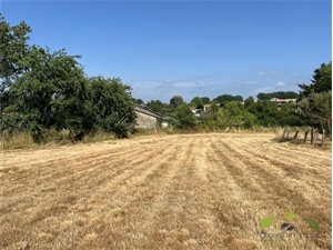 terrain à la vente -   87130  CHATEAUNEUF LA FORET, surface 2000 m2 vente terrain - UBI478253609